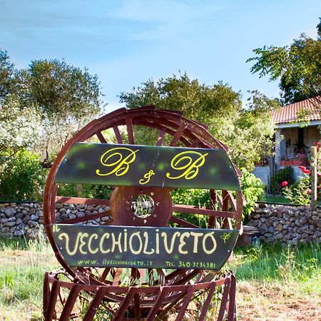 Il Vecchioliveto Di Ornella Bed and Breakfast Marrùbiu Buitenkant foto