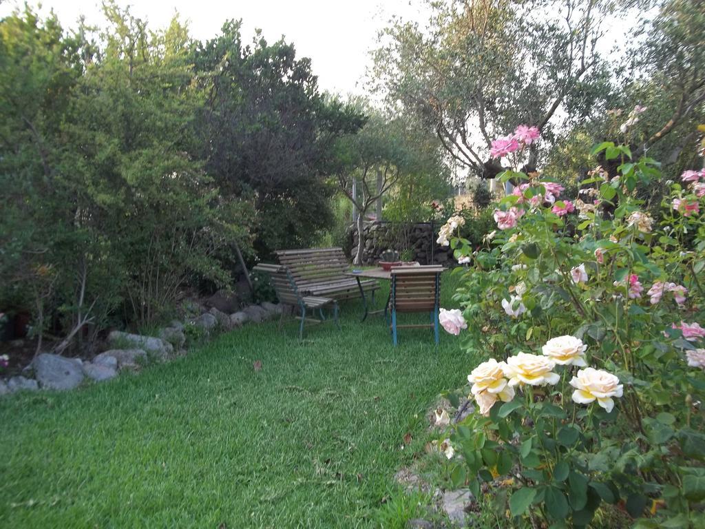 Il Vecchioliveto Di Ornella Bed and Breakfast Marrùbiu Kamer foto