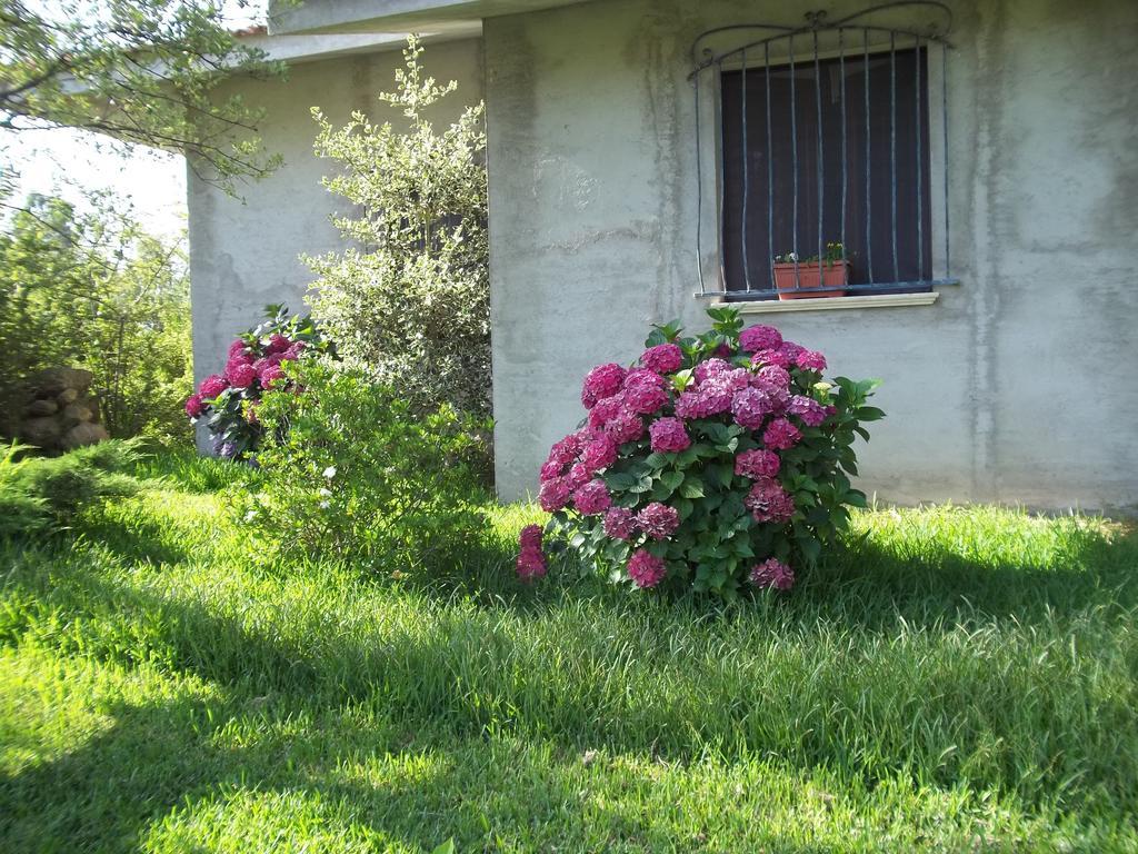 Il Vecchioliveto Di Ornella Bed and Breakfast Marrùbiu Buitenkant foto
