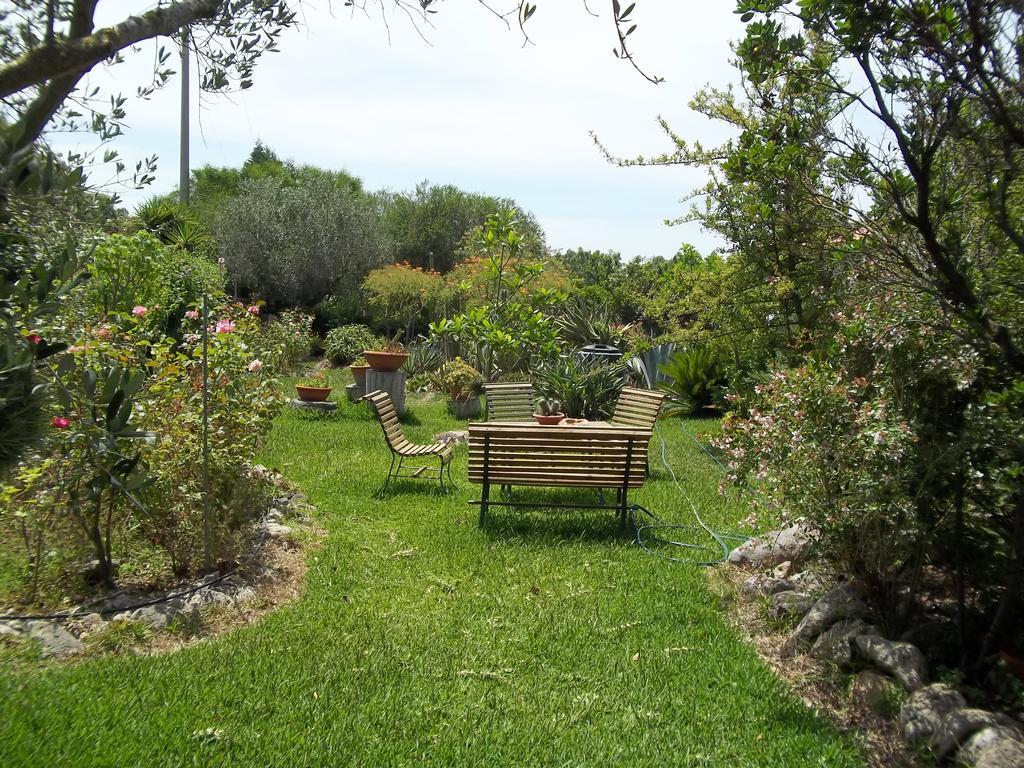 Il Vecchioliveto Di Ornella Bed and Breakfast Marrùbiu Kamer foto