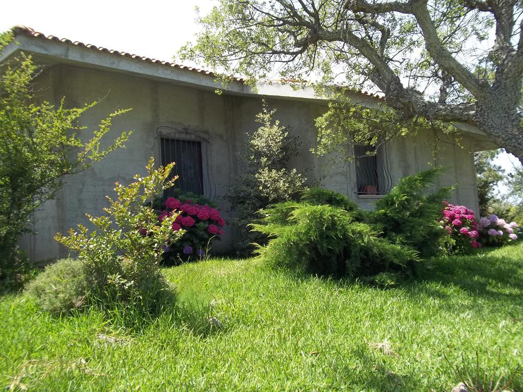 Il Vecchioliveto Di Ornella Bed and Breakfast Marrùbiu Kamer foto