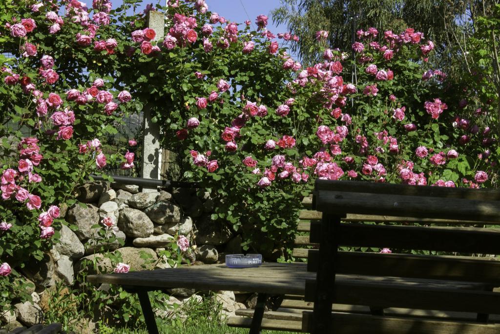 Il Vecchioliveto Di Ornella Bed and Breakfast Marrùbiu Buitenkant foto