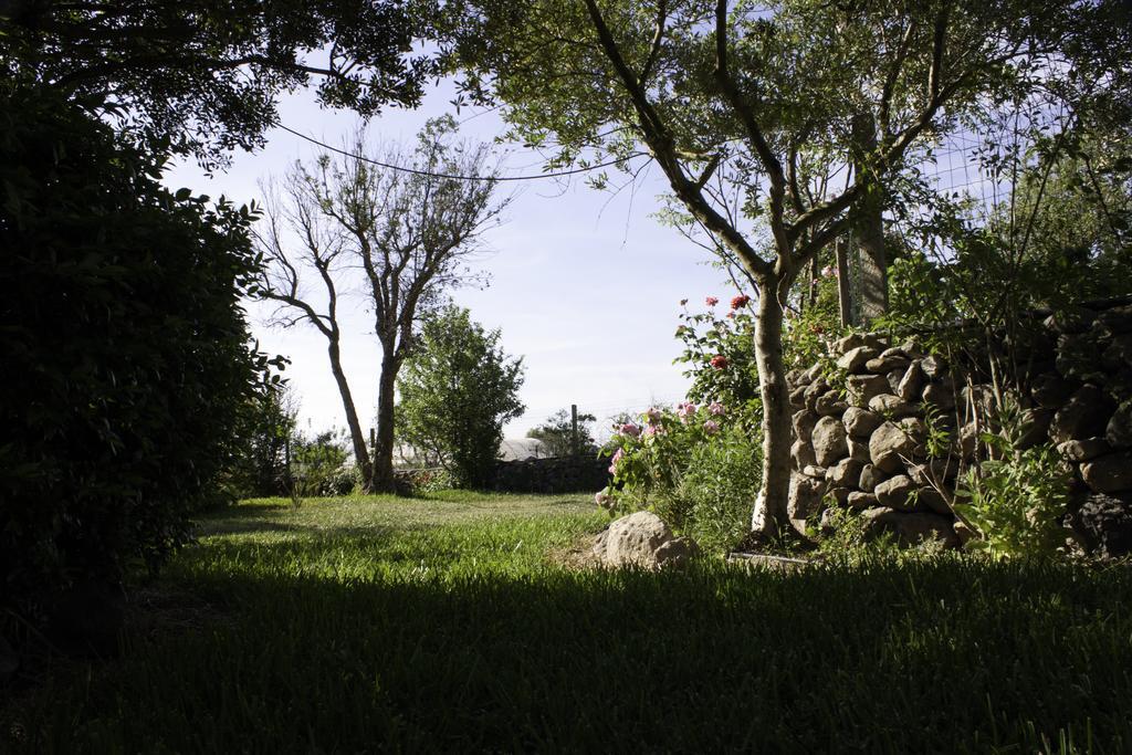 Il Vecchioliveto Di Ornella Bed and Breakfast Marrùbiu Buitenkant foto