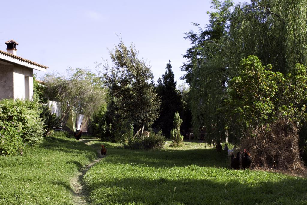 Il Vecchioliveto Di Ornella Bed and Breakfast Marrùbiu Buitenkant foto