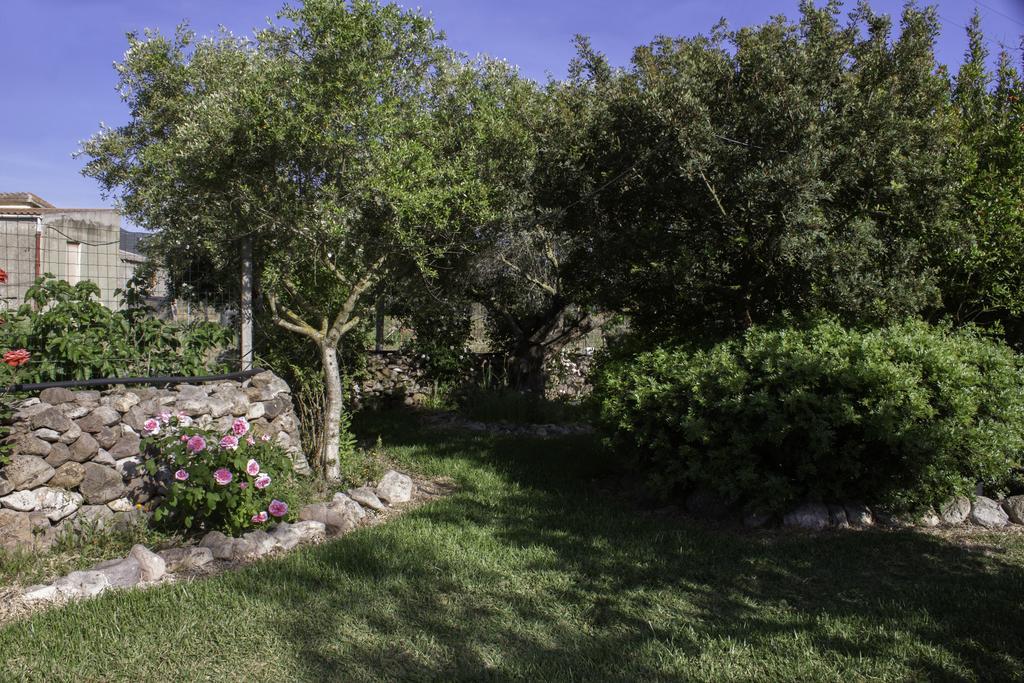 Il Vecchioliveto Di Ornella Bed and Breakfast Marrùbiu Buitenkant foto