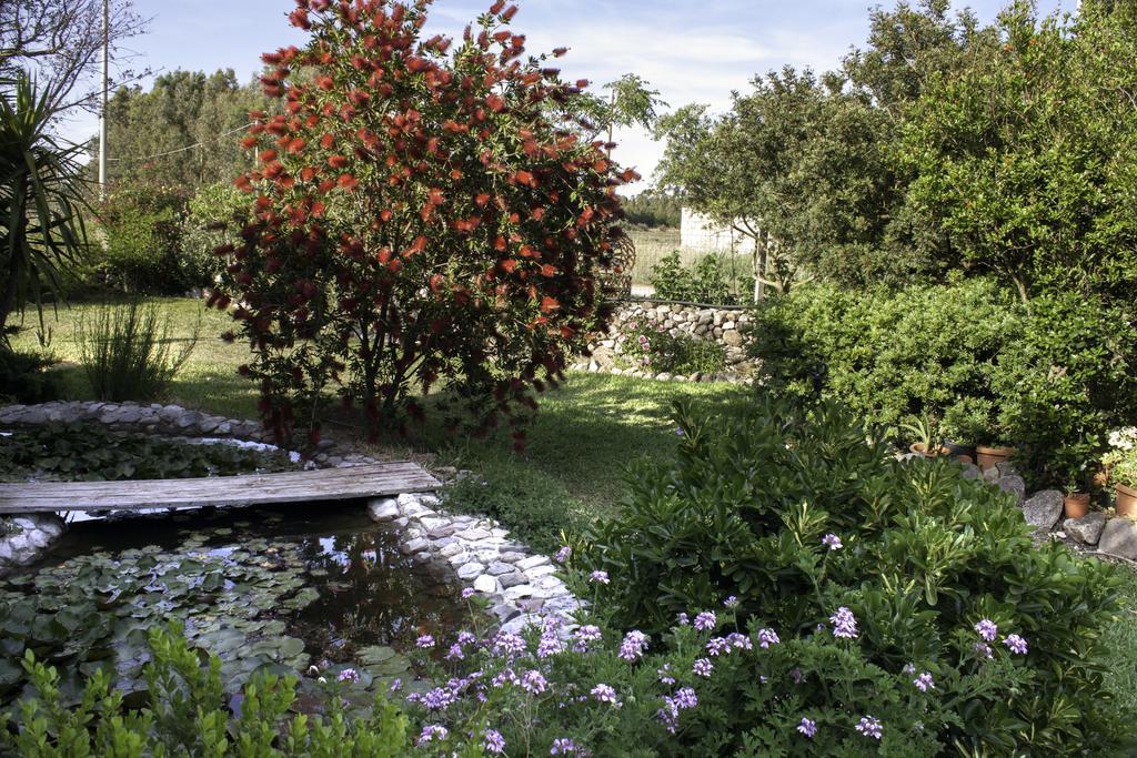 Il Vecchioliveto Di Ornella Bed and Breakfast Marrùbiu Buitenkant foto