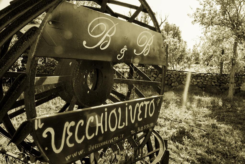 Il Vecchioliveto Di Ornella Bed and Breakfast Marrùbiu Buitenkant foto