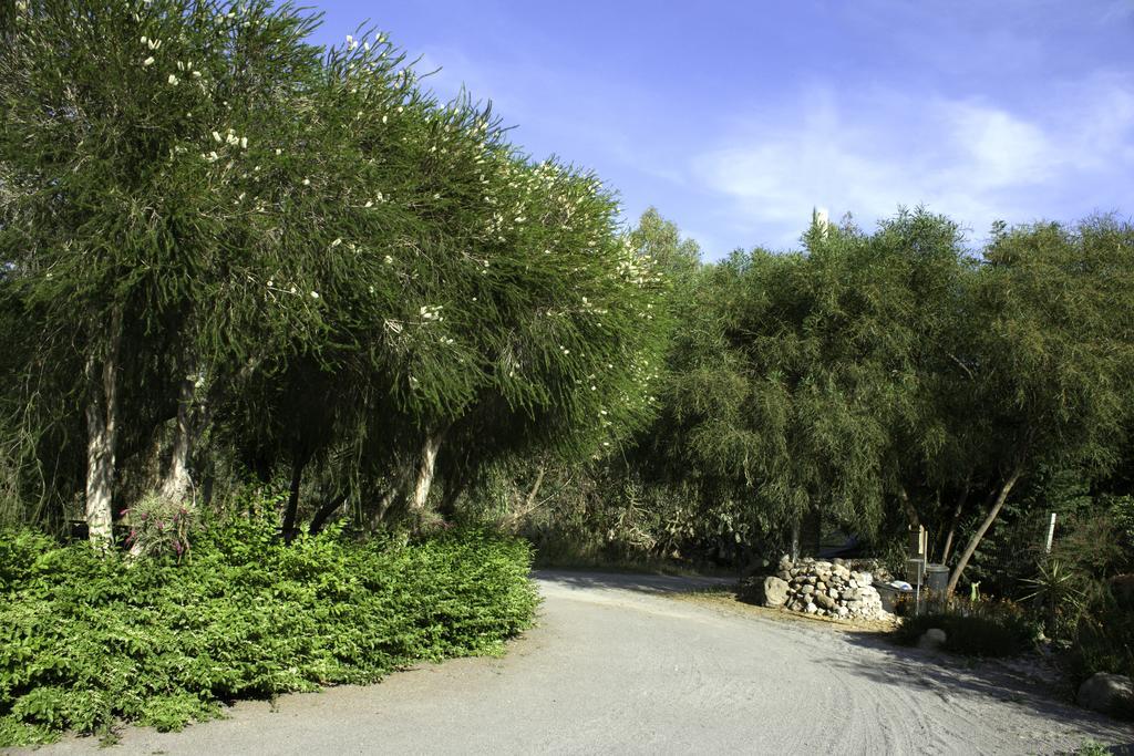 Il Vecchioliveto Di Ornella Bed and Breakfast Marrùbiu Buitenkant foto