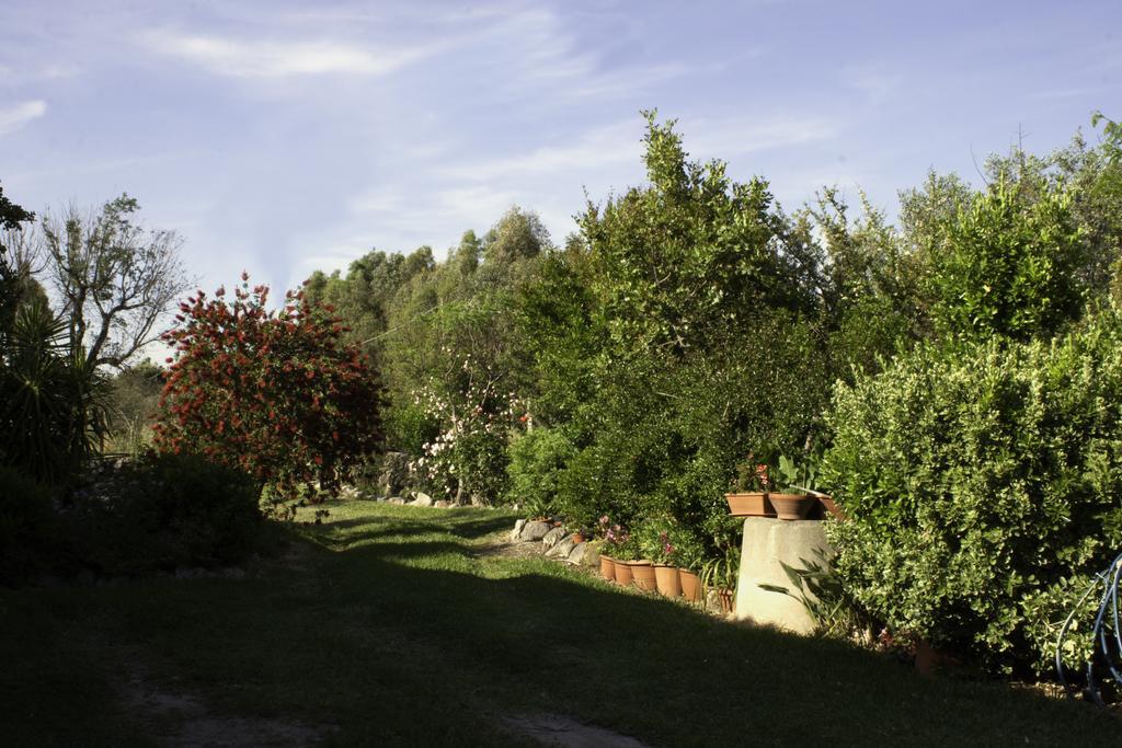 Il Vecchioliveto Di Ornella Bed and Breakfast Marrùbiu Buitenkant foto