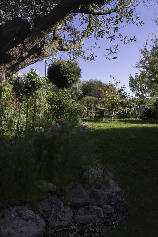 Il Vecchioliveto Di Ornella Bed and Breakfast Marrùbiu Buitenkant foto